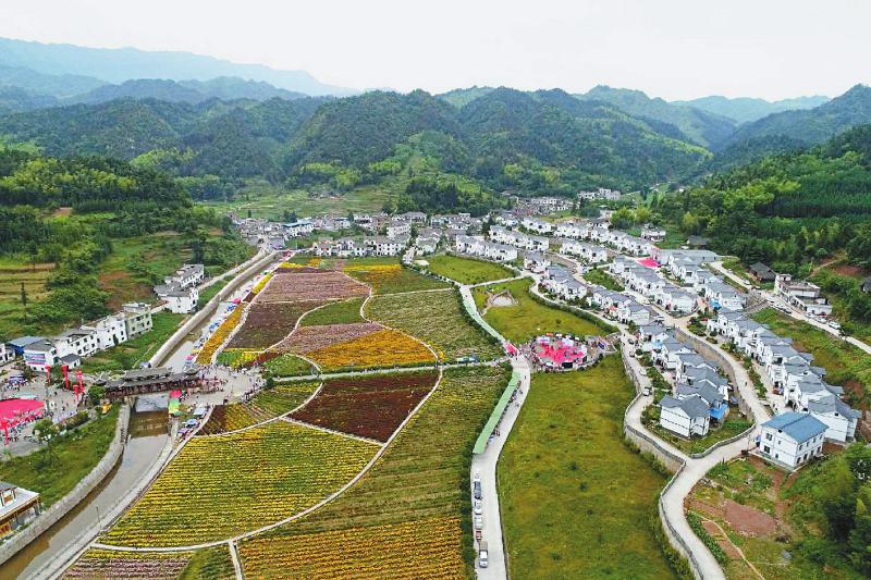 6月4日,航拍的泸州市古蔺县大寨苗族乡富民村易地扶贫搬迁聚居点.