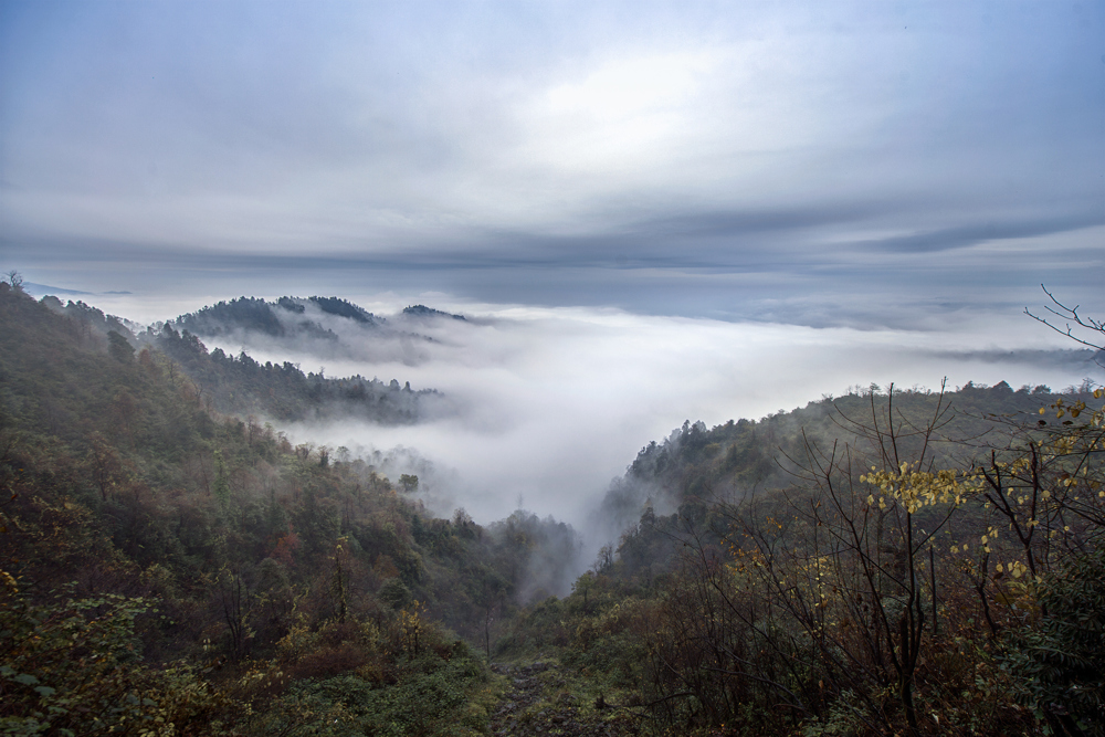 国家级自然保护区--老君山自然保护区