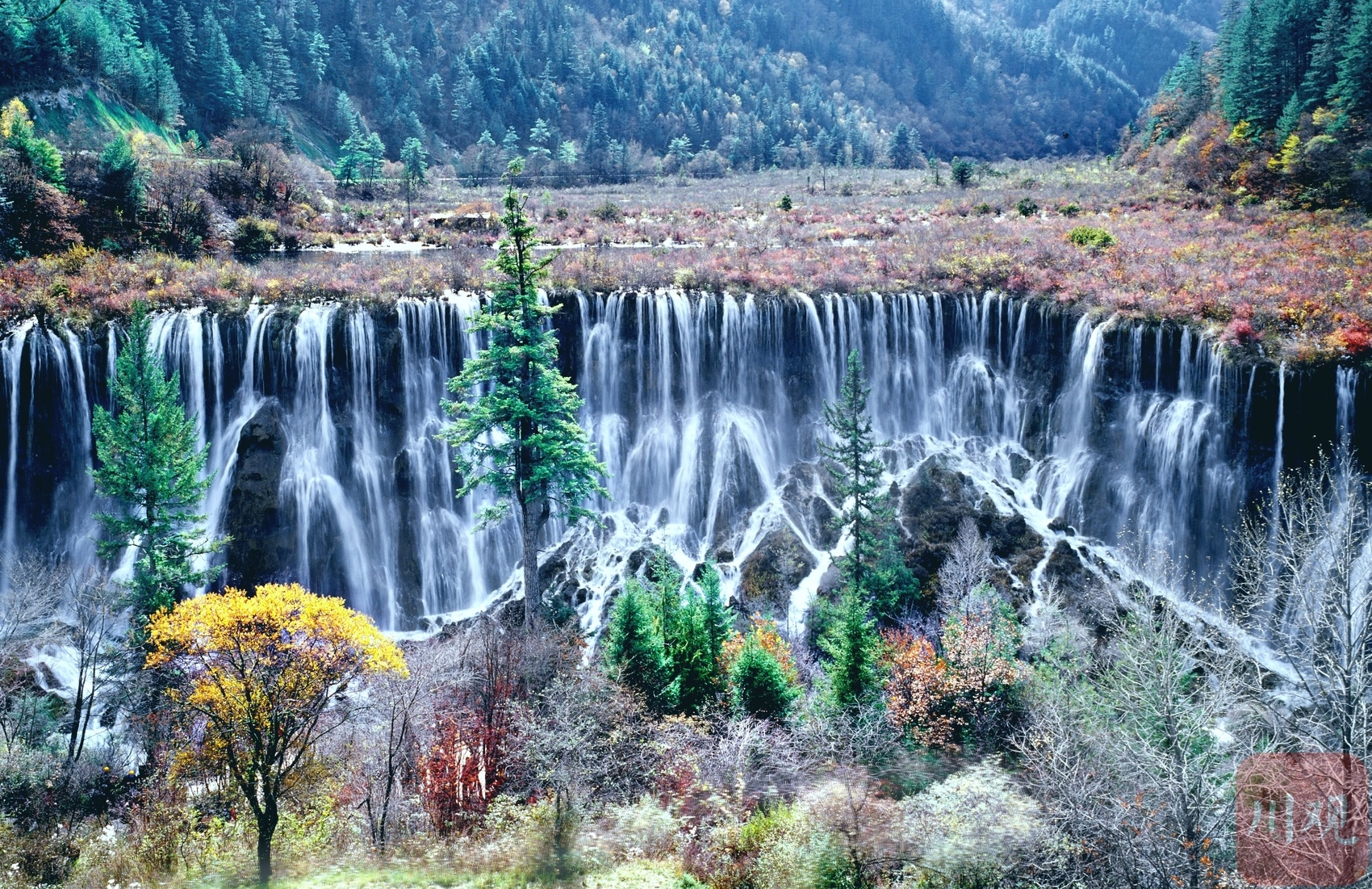c视频七旬摄影家镜头定格四川生态之美