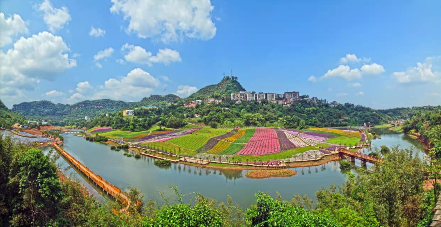 污水沟旁种出500亩花海泸州纳溪打造中国最美小流域示范样板