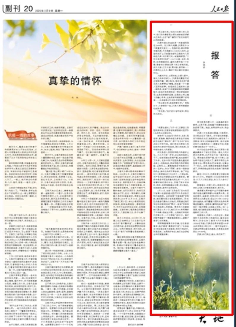 【散文】人民日報副刊暖心講述:報答