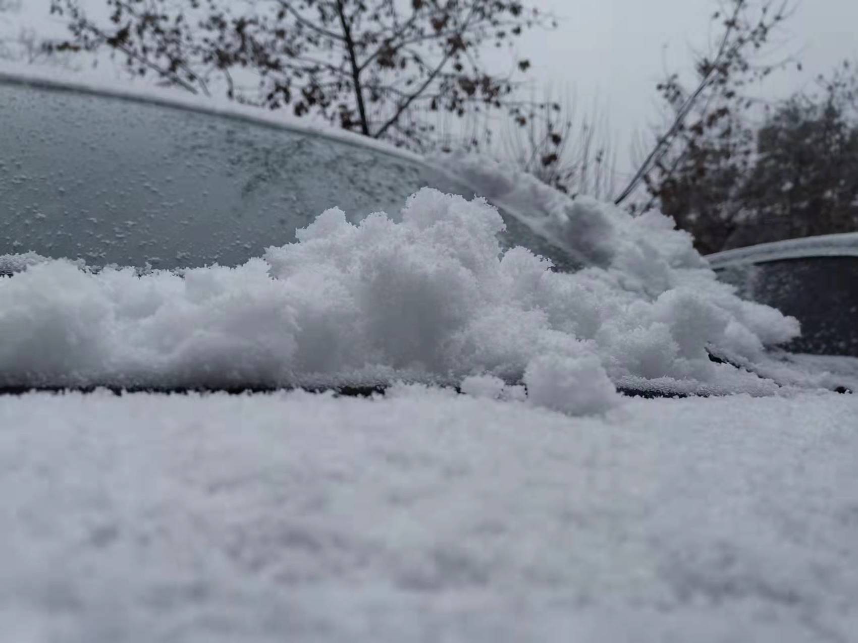 成都下雪照片图片