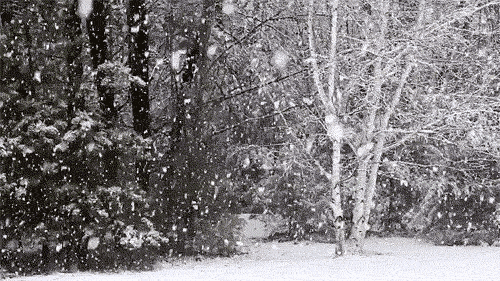 大雪纷飞雪景动图图片