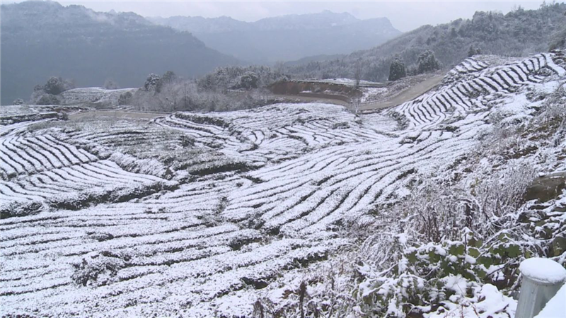 宜賓敘州作家走進天宮山