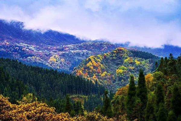 大禹汶川石紐山出生,父親鯀崇州雞冠山出生.崇州北部與汶川接壤.