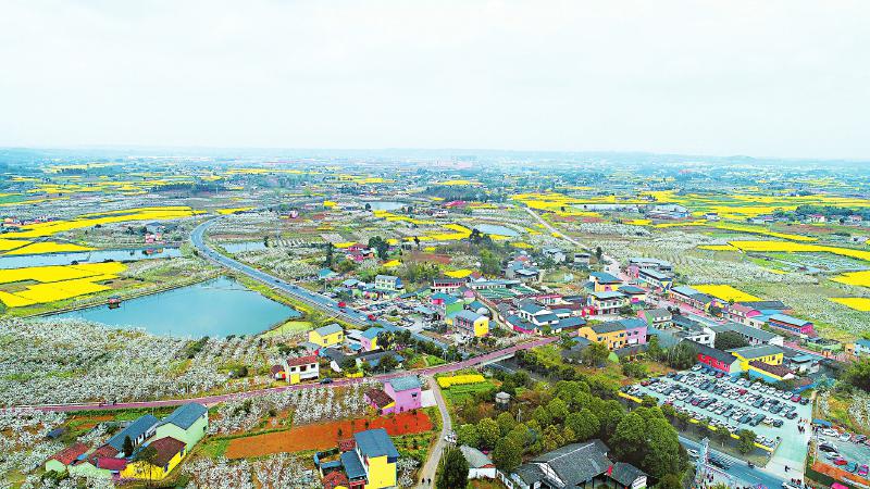 罗江区乡镇图片