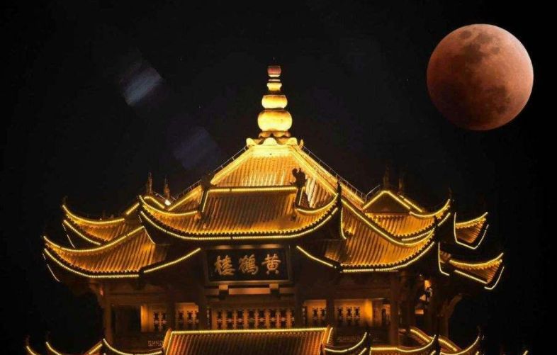 你两眼里滚烫的热望,被武汉患者一张张脸冻成寒冰,悲凉,苍白如夜幕下