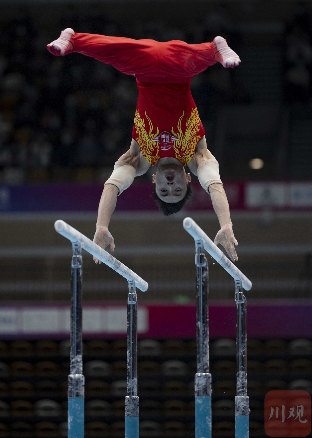 聚焦全运会邹敬园获得双杠项目金牌