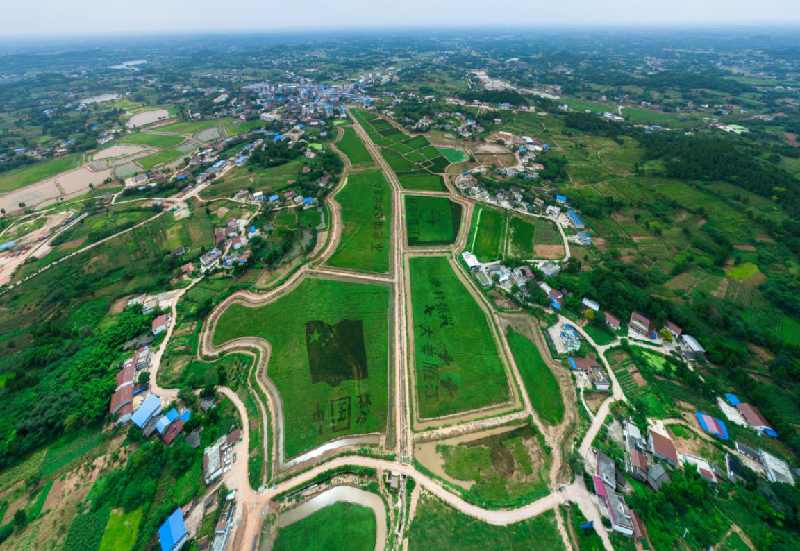 雁江丹山镇产业兴环境优美丽乡村托起幸福生活