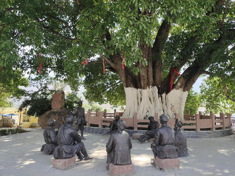 普格县史志办公室启动普格县红军树村村志编纂工作