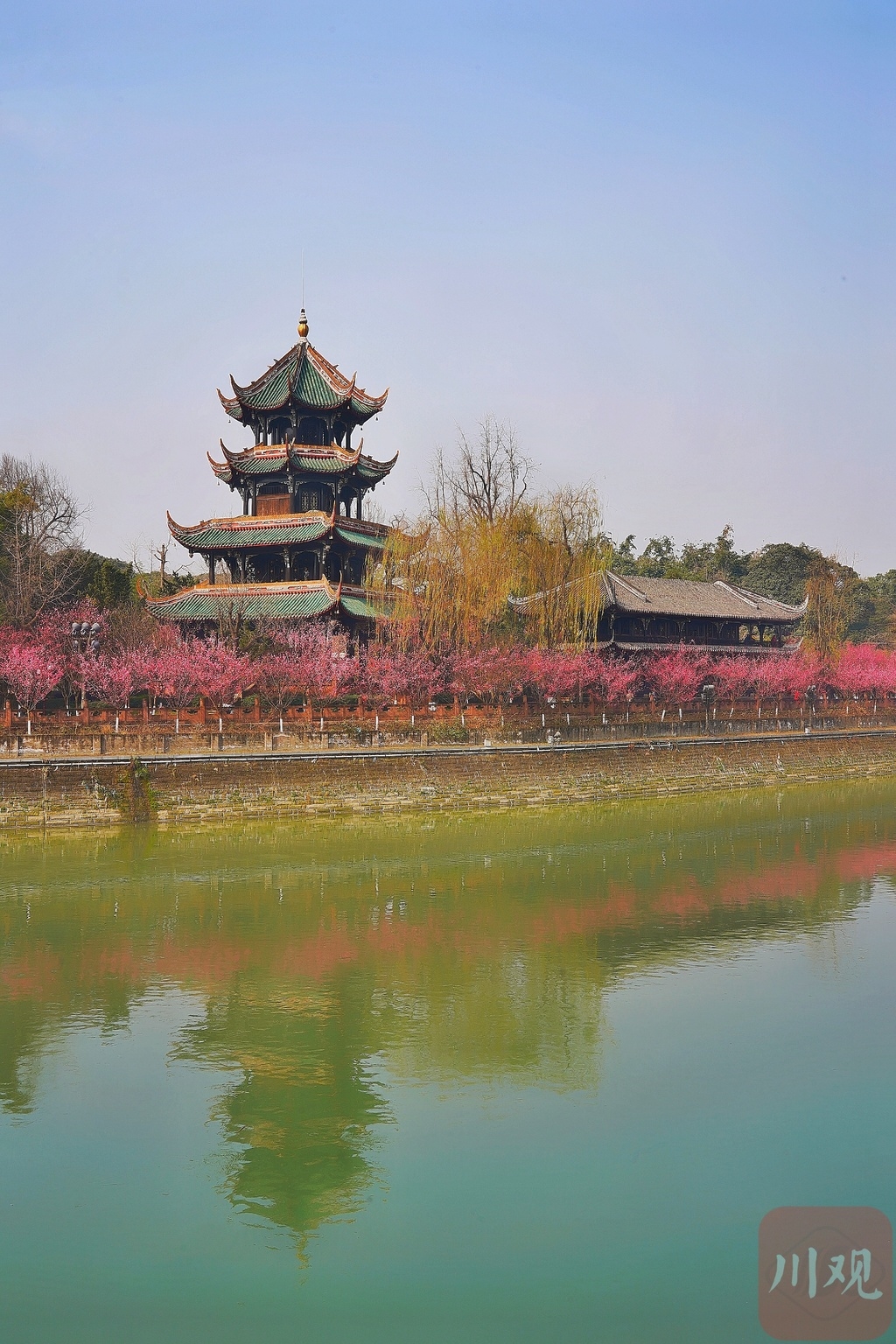 春风十里不如望江楼下红梅花开一片