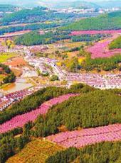  20250315四川日报图片