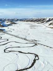  20250318四川日报图片