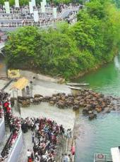  20250428四川日报图片