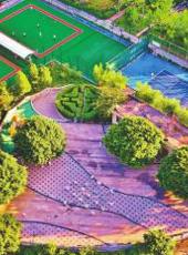  20250728四川日报图片