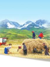  20250828四川日报图片