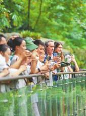  20250913四川日报图片