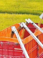 20250916四川日报图片