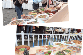 【特产】富新土鳝鱼：水中的佳肴 餐桌上的美味 