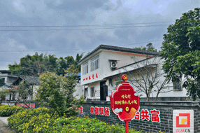 【名镇名村】仲权镇：传承彩灯的特色之路‖杨莉 