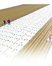  20251027四川日报图片