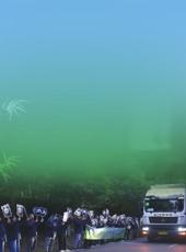  20251119四川日报图片