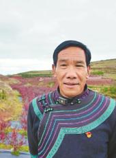  20251120四川日报图片