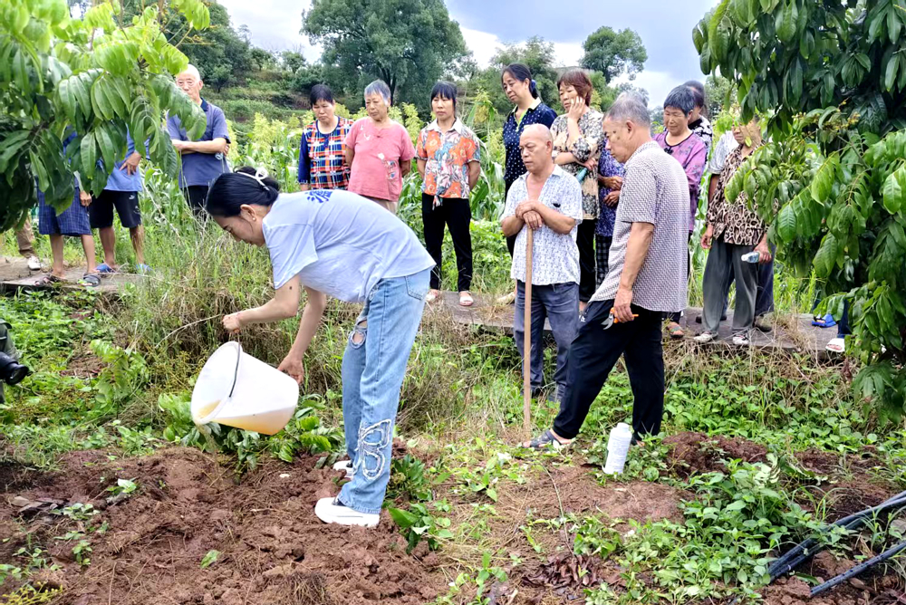 泸县返乡创业指导员武万琼（前排一，全国三八红旗手、四川省劳动模范）为返乡创业群众开展果树栽种、管理技术示范培训
