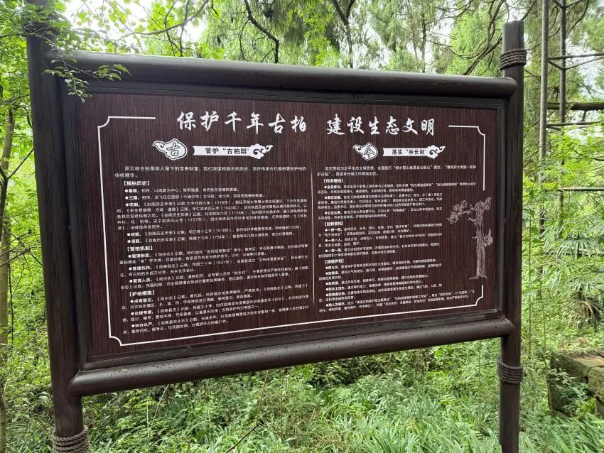 生态保护宣传牌。实习生张悦摄