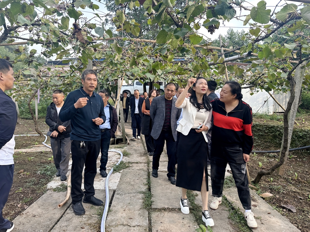 泸县返乡创业指导员杜相南（前排左二）在自己创办的泸县紫桂缘家庭农场向有创业意愿前来参观的返乡人员分享创业经验