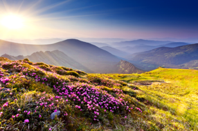 【美丽四川】我在海花沟‖李后强 