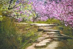 【资治】实施巴蜀文化旅游走廊建设 须加强成渝古驿道石窟走廊保护与利用 