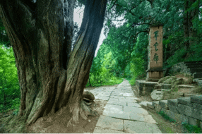 【美丽四川】洞察发展脉络 感悟新闻力量——品读《蜀道新歌》 