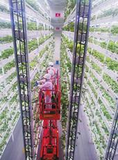  20251215四川日报图片