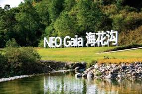 【美丽四川】从“海花沟十大效应”看自然疗愈的多维密码与生命美学——解码四川凉山海花沟大地公园的生态康养奇迹‖李后强 赵思俭 