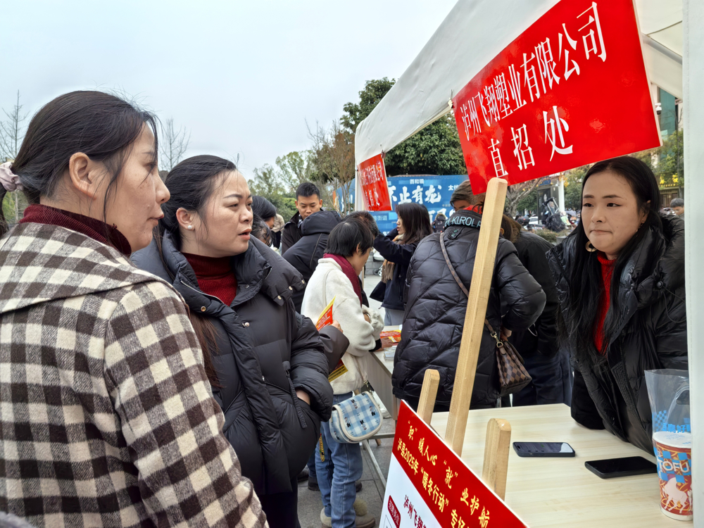 泸县举办2025年“暖冬行动”专场招聘会5