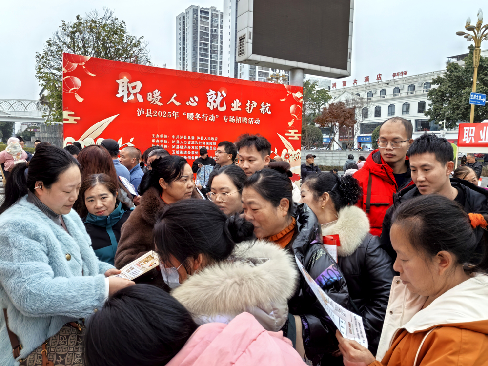 泸县举办2025年“暖冬行动”专场招聘会1