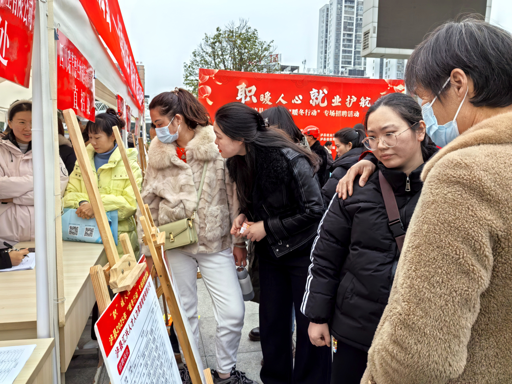 泸县举办2025年“暖冬行动”专场招聘会6