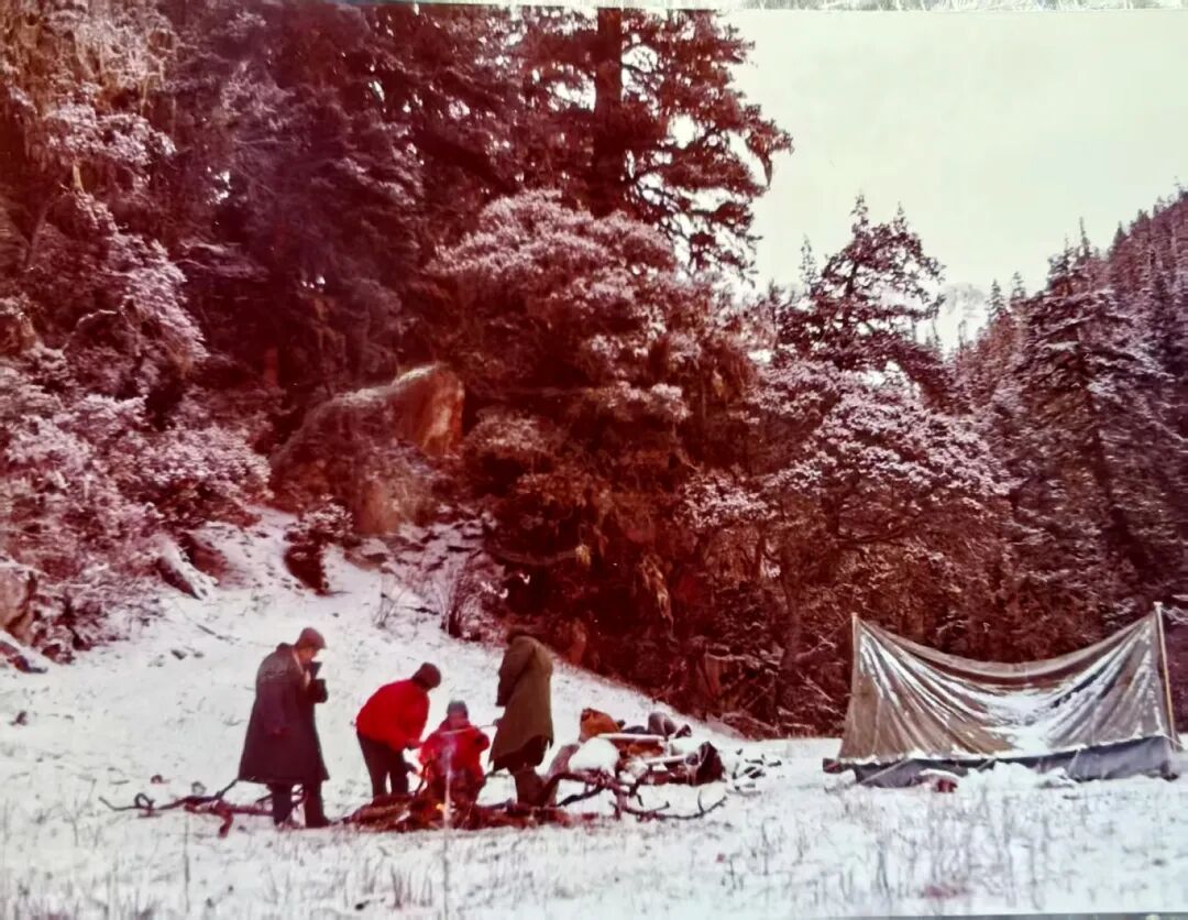 宿营晨起（何平 供图）.jpg