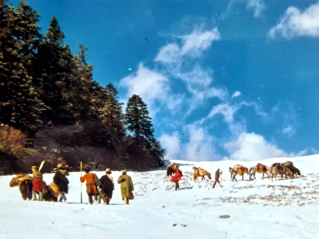 向江边进发（何平 供图）.jpg