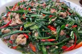 【美食】兔肴：舌尖上的多彩舞蹈‖杨忠 