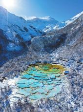 20260107四川日报图片