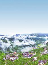  20260118四川日报图片