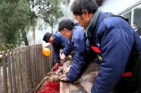 【民俗】杀猪饭‖黄春红 