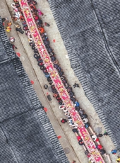  20260125四川日报图片