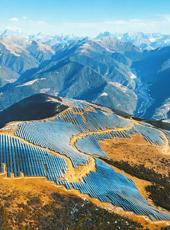  20260129四川日报图片