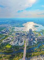  20260209四川日报图片