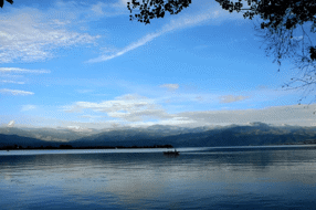 【美丽四川】冬日邛海，鸟儿的天堂‖陈林 