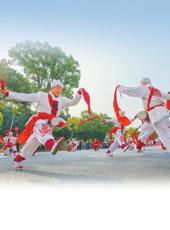 20260219四川日报图片