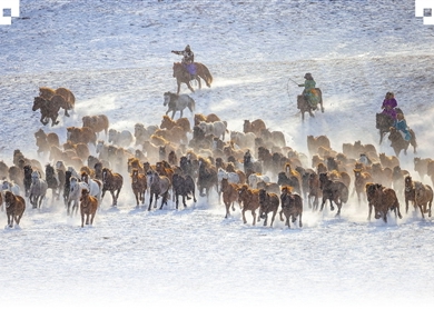 马上运动  快意风行